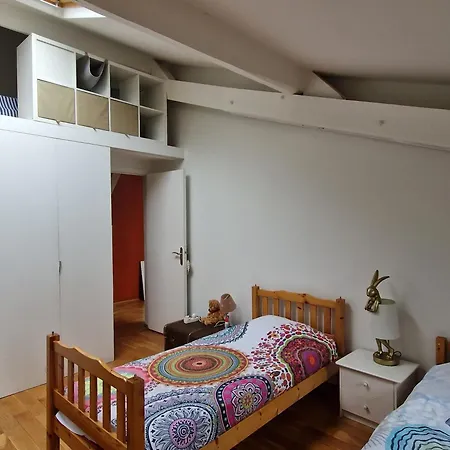 Loft En Duplex 270 M2 & Jardin Patio Terrasse Sauna *