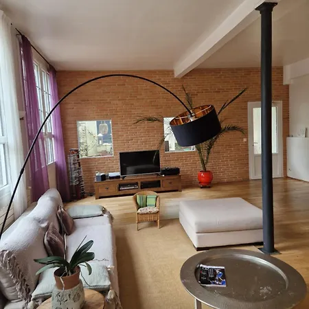 Loft En Duplex 270 M2 & Jardin Patio Terrasse Sauna *